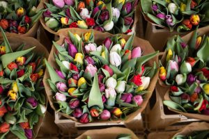 Hochzeitsblumen-Service auf der Insel Rügen – Blumen für die Heirat kaufen | Hochzeitsportal Rügen