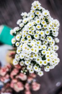 Blumenstrauß für die Heirat auf Rügen kaufen – Hochzeitsgeschenke für das Ehepaar und die Trauung an der Ostsee | Hochzeitsportal Rügen